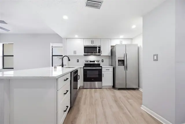 Remodeled kitchen with quartz counters, 300 S Florida Ave #100K, Tarpon Springs